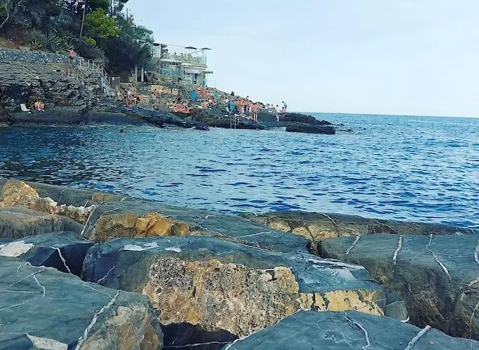 Vista Cervo Daire *